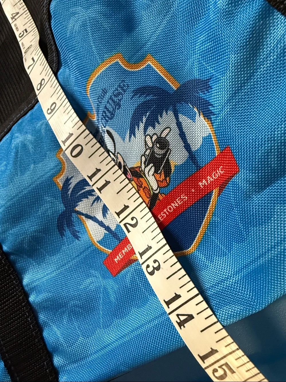 Disney Cruise Member Cruise DVC Blue & Black Tote Bag mesh upper, pool bag Goofy